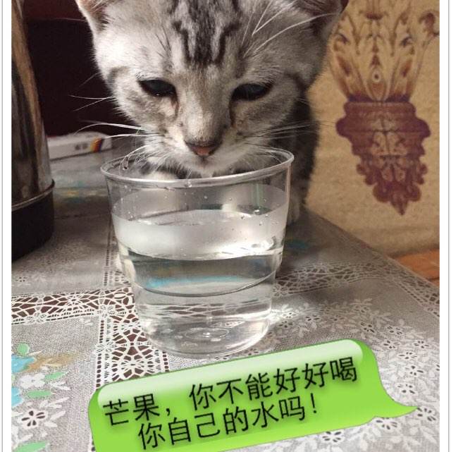 哪里能办安道尔